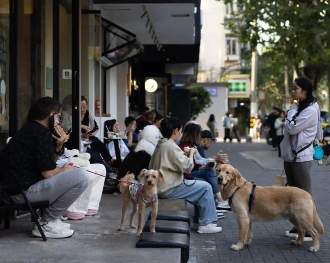 了双11爱上了“老年严选”j9国际这届脆皮年轻人抛弃(图8)